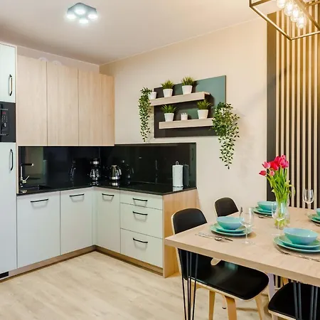 Perlowa Przystan Rent Apartment